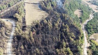 Çanakkale'deki orman yangınında soğutma çalışmaları sürüyor