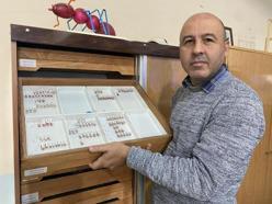 Sivas'ta yeni bir böcek türü keşfedildi; Medon turcicus