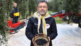 Bakan Yumaklı: Milletimiz zeytin üzerinden yapılan spekülasyonlara itibar etmesin