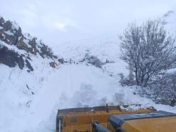 Sason'da 7 köy ile 23 mezra yolu, kardan kapandı