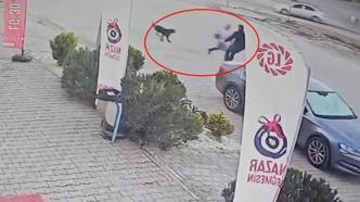 Köpeklerin saldırdığı çocuğu esnaf ve otomobil sürücüsü kurtardı; o anlar kamerada