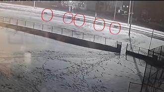 Ardahan'da kurt sürüsü ilçe merkezine indi; o anlar kamerada