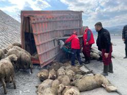Balıkesir'de TIR, kamyona arkadan çarptı; 1 kişi hayatını kaybetti, 2 kişi yaralandı, 52 koyun öldü