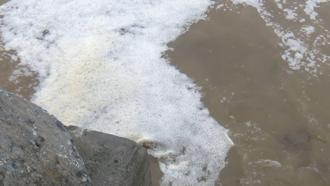 İstanbul - Beylikdüzü'nde "kanalizasyon suyu denize akıyor" iddiası