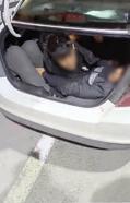 Otomobilin bagajında 3 kaçak göçmen yakalandı; organizatör tutuklandı