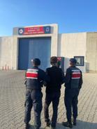 3 köpeğin saldırdığı kadın öldü (2)