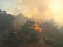 Manisa'daki yangın 12 saatte söndürüldü; 35 dekar meşe ormanı, 25 dekar tarım arazisi yandı