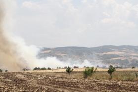 Manisa'da 3 ayrı bölgede yangın; 96 dönüm tarım arazisi ile 4 dönüm maki zarar gördü