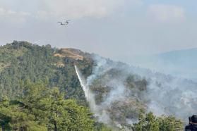 Bursa'da orman yangını; karadan ve havadan müdahale ediliyor (5)