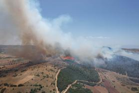 Manisa'da orman yangını/Ek Fotoğraflar