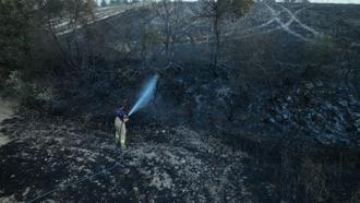 Balıkesir'deki yangında 20 hektar tarım arazisi ile 60 hektar orman zarar gördü