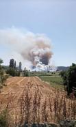 Çanakkale’de orman yangını/ Ek fotoğraflar
