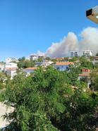 Çanakkale'de bir orman yangını daha