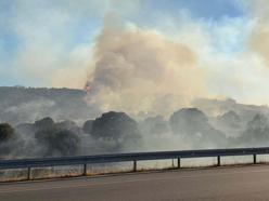 Çanakkale'de bir orman yangını daha (2)
