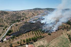 Kula'daki yangında 5 dönüm maki ve tarım arazisi zarar gördü