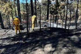 Bursa'da çıkan orman yangını 1 saatte söndürüldü
