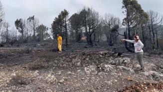 Balıkesir'deki orman yangını; havadan müdahale yeniden başladı