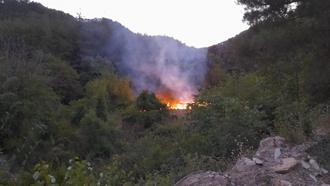 Adana'da bahçe yangını, ormana sıçramadan söndürüldü