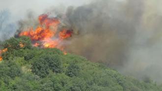 Çanakkale'de orman yangını/Ek fotoğraflar