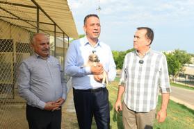 CHP milletvekilleri Yenişehir Belediyesi’nin hayvan bakımevini gezdi