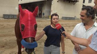 İstanbul- Üniversiteli safkan atların başarısı