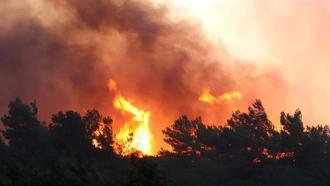 Manisa'daki yangında 600 hektar alan zarar gördü; meradan ormana sıçramış