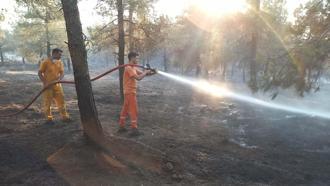 Balıkesir'de orman yangını (4)