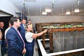 Başkan Kaya’dan, kara salyangozu üretim tesisine ziyaret etti