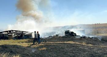 Tekirdağ'da çiftlikteki yangında 500 dönüm tarım arazisi zarar gördü