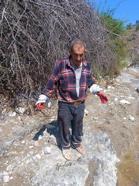 Çorum'da domuzun saldırdığı kişi yaralandı