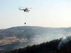 Yozgat'ta çıkan orman yangını, 5 saatte kontrol altına alındı