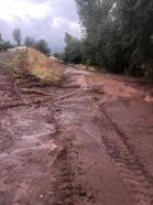 Ahlat'ta sağanak sele neden oldu