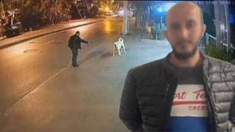 Bahçelievler'de tabanca ile köpeği korkutmaya çalışan bir kişi gözaltına alındı