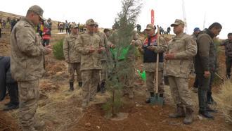 Siirt’te 2 bin 500 fidan toprakla buluştu