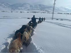 Karda kaybolan küçükbaşlar dronla bulundu; o anlar kamerada / Ek fotoğraflar