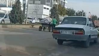 Şanlıurfa’da ata eziyet kamerada