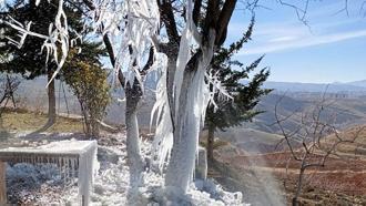 Patlayan borudan suyun sıçradığı ağaçta buz sarkıtları oluştu