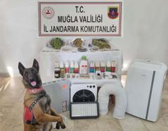 Muğla’da uyuşturucu operasyonu