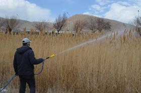 Adilcevaz Belediyesi'nden erken larva mücadelesi