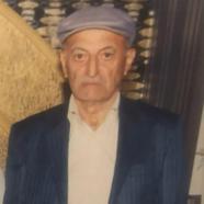 Yaya geçidinde otomobilin çarpmasıyla hayatını kaybetti