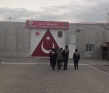 Evde iklimlendirme sistemi kurup Hint keneviri yetiştiren 2 şüpheli tutuklandı