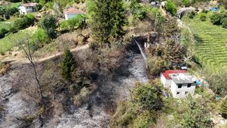 Trabzon'da örtü yangınında 4 dönüm alan zarar gördü