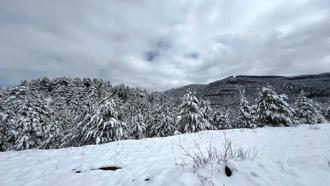 Akseki'nin yükseklerinde kar 20 santimi buldu