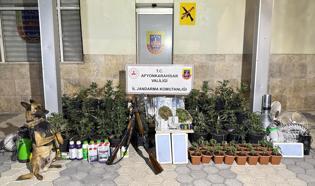 Evinde kenevir üreten 2 şüpheli yakalandı