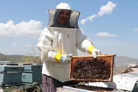 Çocukları için arıcılığa başlayan 3 çocuk annesi, kovan sayısını 5'ten 50'ye çıkardı