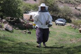 Çocukları için arıcılığa başlayan 3 çocuk annesi, kovan sayısını 5'ten 50'ye çıkardı/Ek fotoğraflar