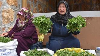 Köy kadınlarının zahmetli 'madımak' mesaisi