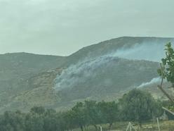 İzmir'de tarım arazisinde çıkan yangın, 2,5 saatte kontrol altına alındı