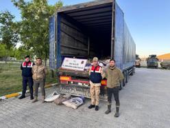 Van'da 19 ton ölü inci kefali ele geçirildi