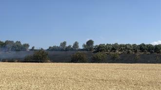Çanakkale’de tarım arazisinde yangın (2)